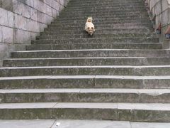 -永康小长城