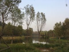 -东郊湿地公园