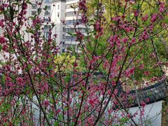 -乌山风景区