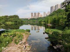 -重庆彩云湖湿地公园