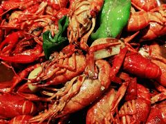 -云晓光头烧烤吧(新大陆广场店)