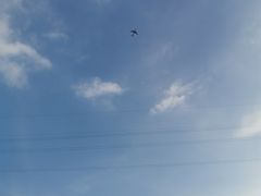 -重庆海昌加勒比海水世界