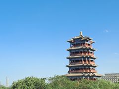 -永定河休闲森林公园