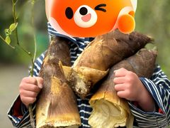 -上海佘山国家森林公园天马山园