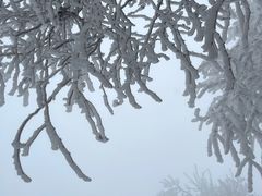 -望庐说·本地菜馆