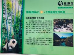 -五龙山野生动物王国