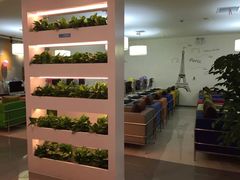 -网鱼电竞·棋牌(五一广场店)