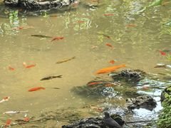 -南通洲际绿博园