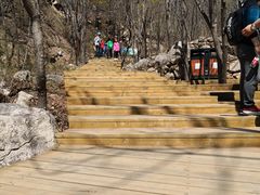 -大岭沟猕猴桃谷风景区