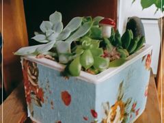 -FEI FEI FLOWER鲜花店·气球派对·宝宝宴布置(虹口德必运动Loft店)