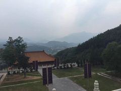 -中原大佛景区