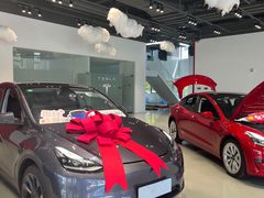 -TESLA 特斯拉(深圳观澜特斯拉直营钣喷中心)