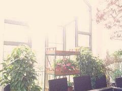 iphone_upload_pic-莫奈花园餐厅(麦迪逊花园店)