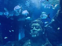 -暹罗海洋世界