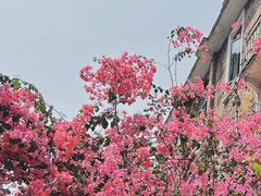 -馨园villa融合菜(东山店)