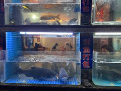 -浔味·山屿湖·正宗淳牌全鱼宴老字号