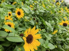 -牛市口盲人按摩