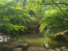 -中国茶叶博物馆(双峰馆区)