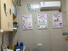 -千城康桥宠物医院·猫科·骨科·心脏