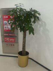 -丰联丽格医疗美容·联合丽格眼整形中心