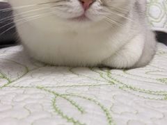-木渎影视城