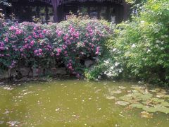 -苏州文旅花间堂·探花府酒店