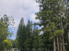 -人民公园(罗湖区)