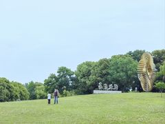 -莲花岛景区