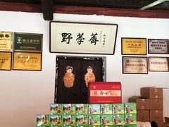 -野荸荠