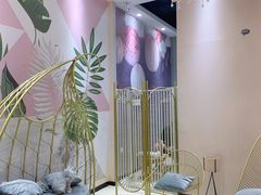 -藏猫猫咖啡主题馆(中央大道店)