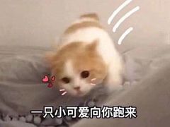 -喜茶(佛山岭南站店)