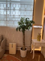 点击看大图 -茜尔维亚修身连锁(庆春银泰店)