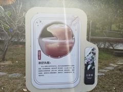 -中山市树木园