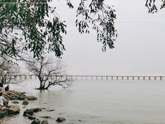 -宝安西湾红树林湿地公园