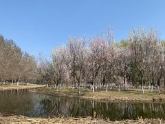 -长白岛森林公园