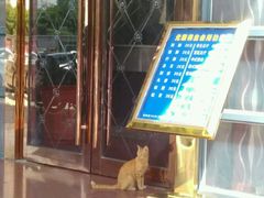 -尤雅养生·影院足道·SPA(金沙江路店)