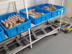 -来噻布布 Lets BUBU