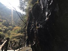 -白云源风景区