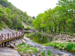-武汉姚家山旅游景区