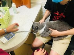 -美联众合动物医院·24h京西诊疗中心