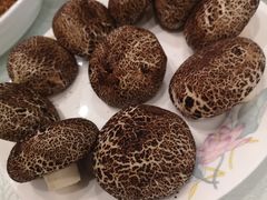 -南京维景国际大酒店(南京博物院店)