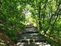 -帽儿山国家森林公园