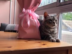 -VOYAGE COFFEE(北锣鼓巷店)