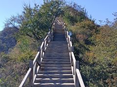 -大岭沟猕猴桃谷风景区