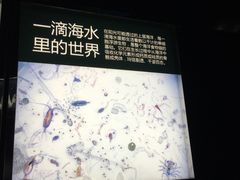 -同济大学四平路校区深海探索馆