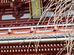 -浅草寺