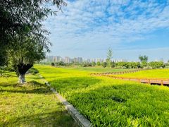 -汉长安城未央宫国家考古遗址公园