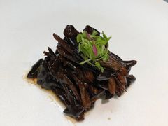 -丁老爷子苏香圆