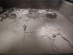 -洛阳周王城天子驾六博物馆