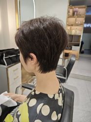 -逸丝风尚